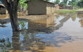 Rain-displaced need urgent aid